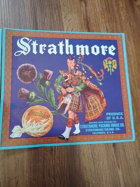 Vintage NOS Deadstock Strathmore Sunkist Oranges Citrus Produce Label